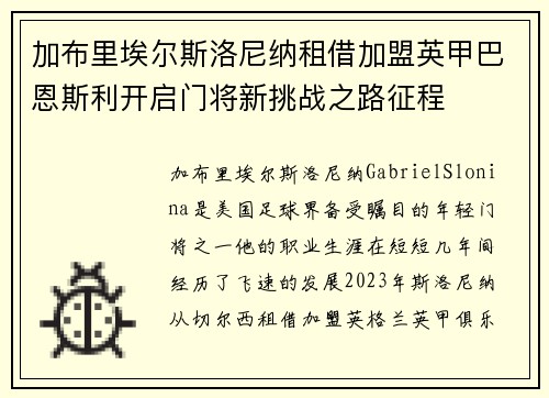 加布里埃尔斯洛尼纳租借加盟英甲巴恩斯利开启门将新挑战之路征程