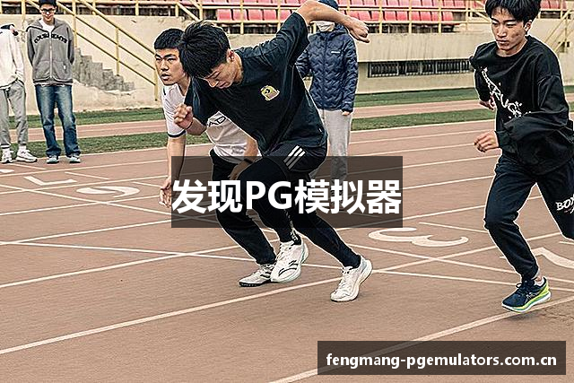 发现PG模拟器